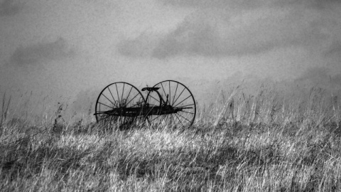 Kliknij na zdjęcie, żeby zobaczyć w pełnych wymiarach