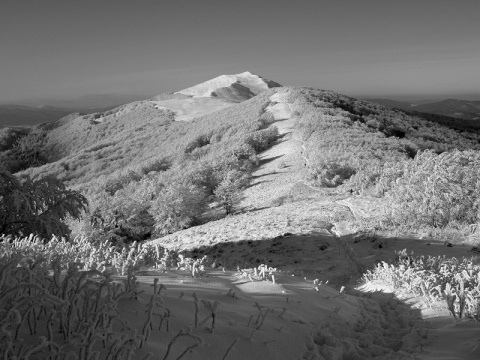 Kliknij na zdjęcie, żeby zobaczyć w pełnych wymiarach