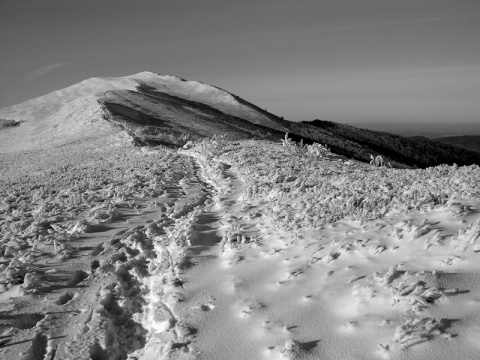 Kliknij na zdjęcie, żeby zobaczyć w pełnych wymiarach
