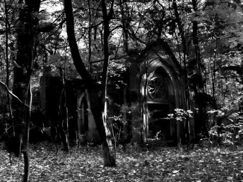 Kliknij na zdjęcie, żeby zobaczyć w pełnych wymiarach