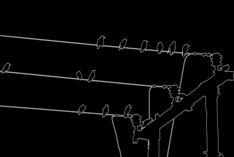 Kliknij na zdjęcie, żeby zobaczyć w pełnych wymiarach