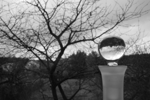 Kliknij na zdjęcie, żeby zobaczyć w pełnych wymiarach