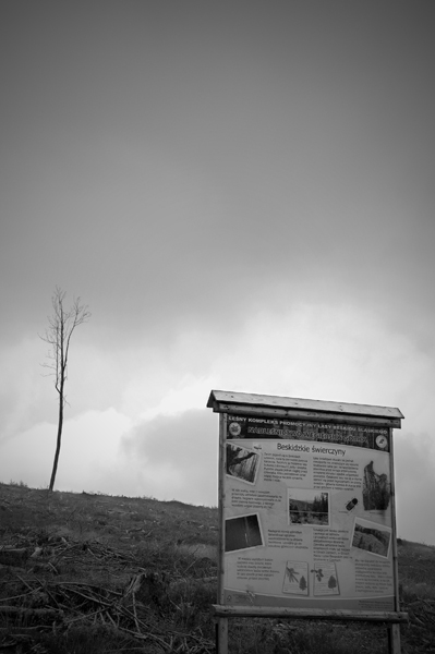 Kliknij na zdjęcie, żeby zobaczyć w pełnych wymiarach