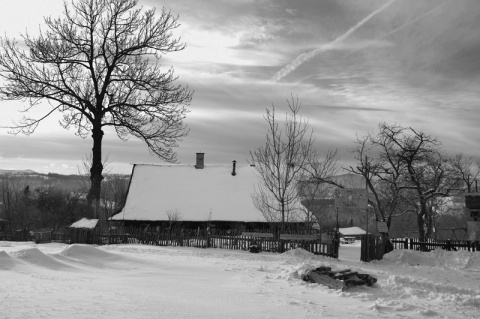 Kliknij na zdjęcie, żeby zobaczyć w pełnych wymiarach