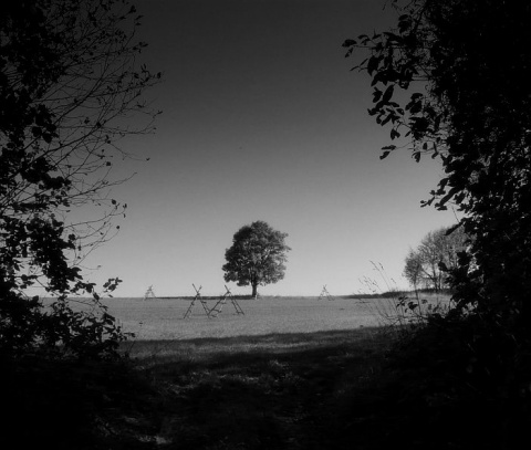 Kliknij na zdjęcie, żeby zobaczyć w pełnych wymiarach