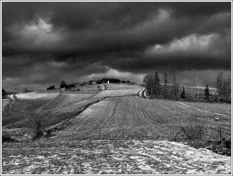 Kliknij na zdjęcie, żeby zobaczyć w pełnych wymiarach