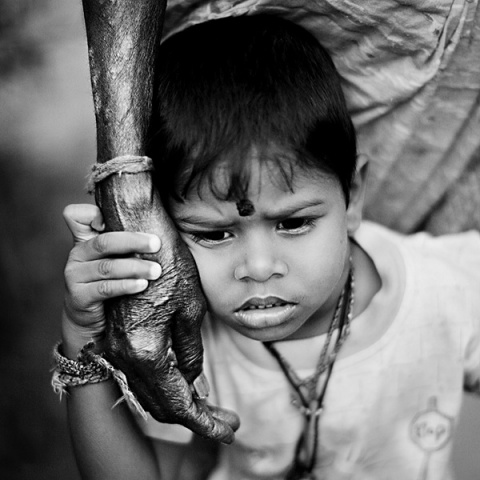 Kliknij na zdjęcie, żeby zobaczyć w pełnych wymiarach
