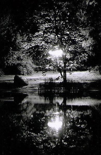 Kliknij na zdjęcie, żeby zobaczyć w pełnych wymiarach