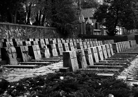 Kliknij na zdjęcie, żeby zobaczyć w pełnych wymiarach