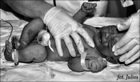 Kliknij na zdjęcie, żeby zobaczyć w pełnych wymiarach