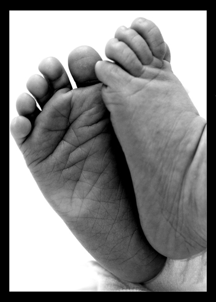 Kliknij na zdjęcie, żeby zobaczyć w pełnych wymiarach