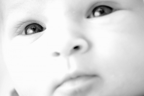 Kliknij na zdjęcie, żeby zobaczyć w pełnych wymiarach