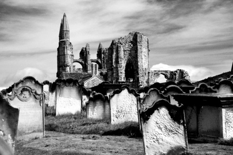 Kliknij na zdjęcie, żeby zobaczyć w pełnych wymiarach