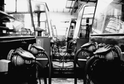 Kliknij na zdjęcie, żeby zobaczyć w pełnych wymiarach