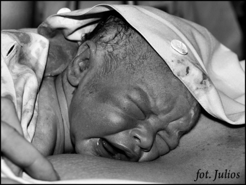 Kliknij na zdjęcie, żeby zobaczyć w pełnych wymiarach