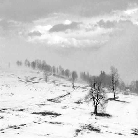 Kliknij na zdjęcie, żeby zobaczyć w pełnych wymiarach
