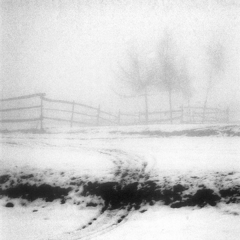 Kliknij na zdjęcie, żeby zobaczyć w pełnych wymiarach