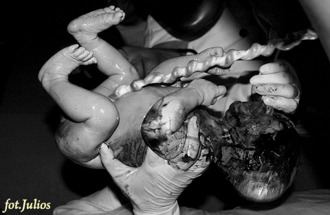 Kliknij na zdjęcie, żeby zobaczyć w pełnych wymiarach