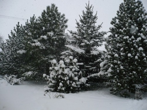 Kliknij na zdjęcie, żeby zobaczyć w pełnych wymiarach