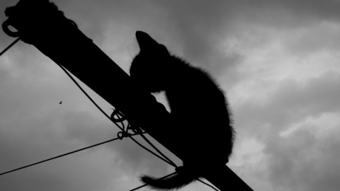 Kliknij na zdjęcie, żeby zobaczyć w pełnych wymiarach