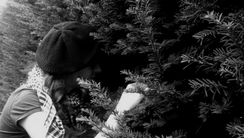 Kliknij na zdjęcie, żeby zobaczyć w pełnych wymiarach