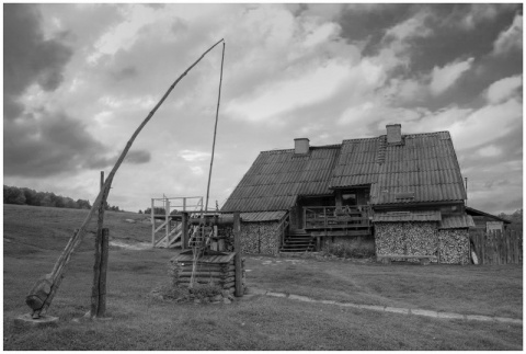 Kliknij na zdjęcie, żeby zobaczyć w pełnych wymiarach