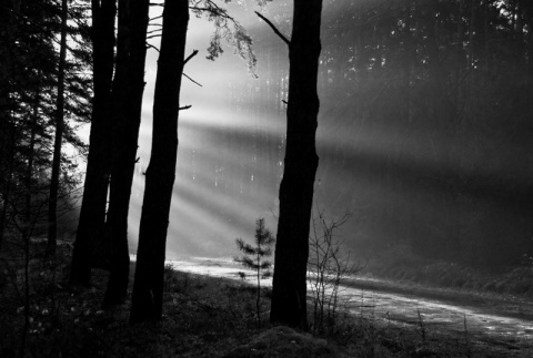 Kliknij na zdjęcie, żeby zobaczyć w pełnych wymiarach