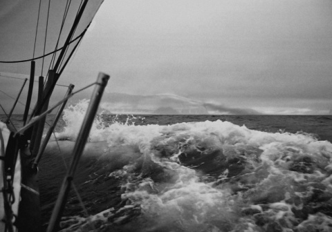 Kliknij na zdjęcie, żeby zobaczyć w pełnych wymiarach