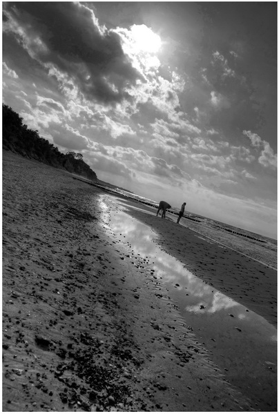 Kliknij na zdjęcie, żeby zobaczyć w pełnych wymiarach