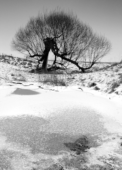 Kliknij na zdjęcie, żeby zobaczyć w pełnych wymiarach