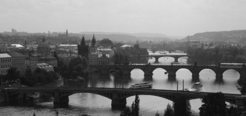 Kliknij na zdjęcie, żeby zobaczyć w pełnych wymiarach