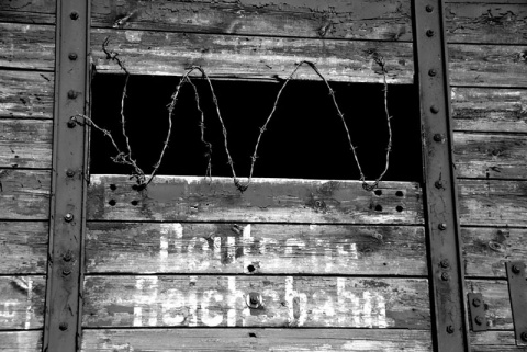 Kliknij na zdjęcie, żeby zobaczyć w pełnych wymiarach