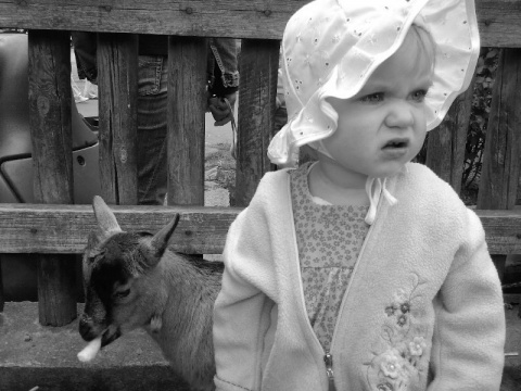 Kliknij na zdjęcie, żeby zobaczyć w pełnych wymiarach