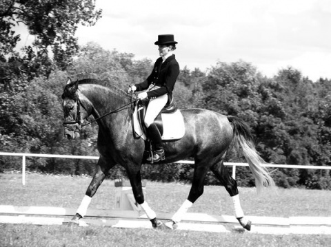 Kliknij na zdjęcie, żeby zobaczyć w pełnych wymiarach