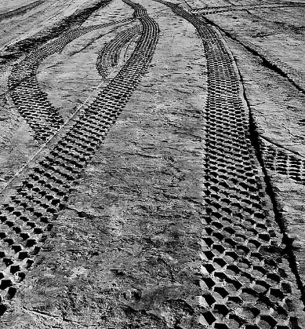 Kliknij na zdjęcie, żeby zobaczyć w pełnych wymiarach