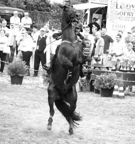 Kliknij na zdjęcie, żeby zobaczyć w pełnych wymiarach
