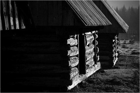 Kliknij na zdjęcie, żeby zobaczyć w pełnych wymiarach