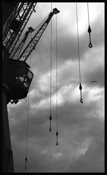 Kliknij na zdjęcie, żeby zobaczyć w pełnych wymiarach