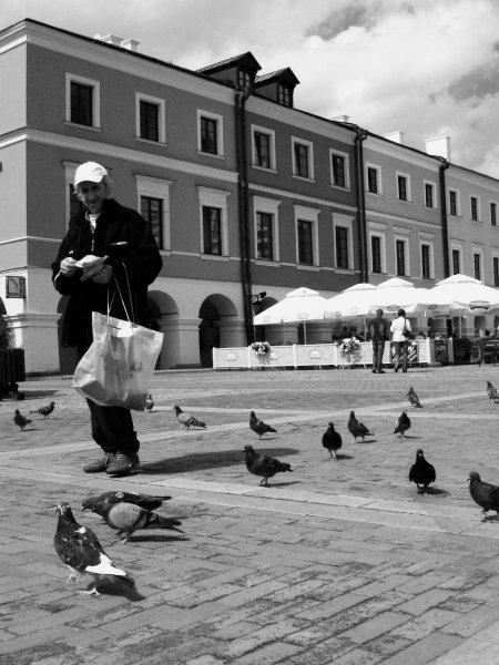 Kliknij na zdjęcie, żeby zobaczyć w pełnych wymiarach