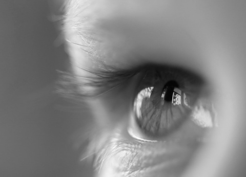 Kliknij na zdjęcie, żeby zobaczyć w pełnych wymiarach