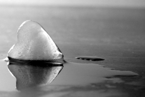 Kliknij na zdjęcie, żeby zobaczyć w pełnych wymiarach