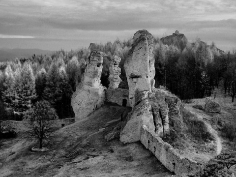 Kliknij na zdjęcie, żeby zobaczyć w pełnych wymiarach