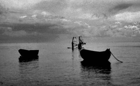 Kliknij na zdjęcie, żeby zobaczyć w pełnych wymiarach