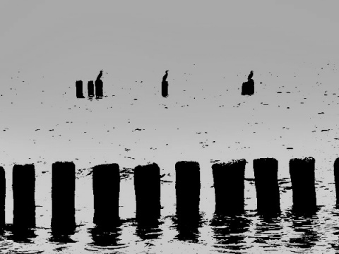 Kliknij na zdjęcie, żeby zobaczyć w pełnych wymiarach