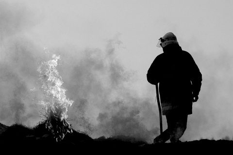 Kliknij na zdjęcie, żeby zobaczyć w pełnych wymiarach