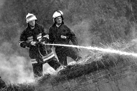 Kliknij na zdjęcie, żeby zobaczyć w pełnych wymiarach