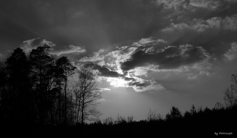 Kliknij na zdjęcie, żeby zobaczyć w pełnych wymiarach