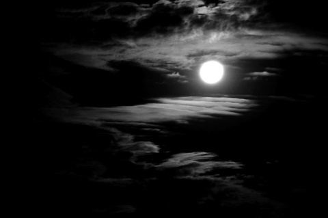 Kliknij na zdjęcie, żeby zobaczyć w pełnych wymiarach