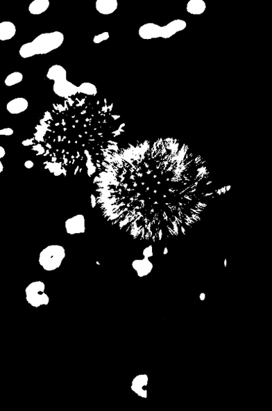 Kliknij na zdjęcie, żeby zobaczyć w pełnych wymiarach