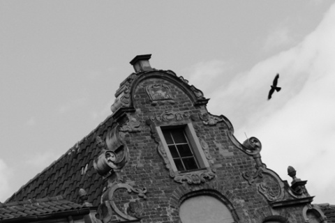 Kliknij na zdjęcie, żeby zobaczyć w pełnych wymiarach